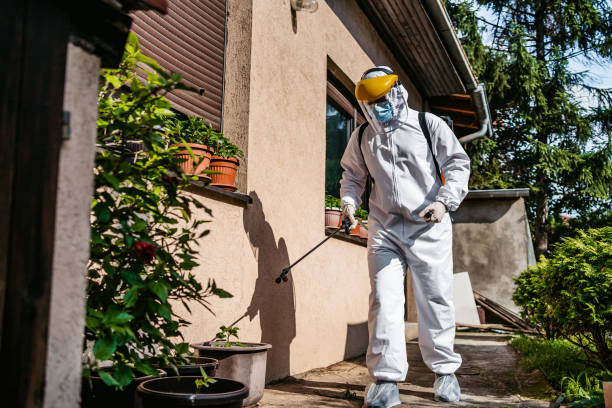 Flea Control Services in Simonton Lake, IN