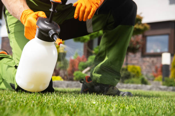 Best Flea Control Services  in Simonton Lake, IN
