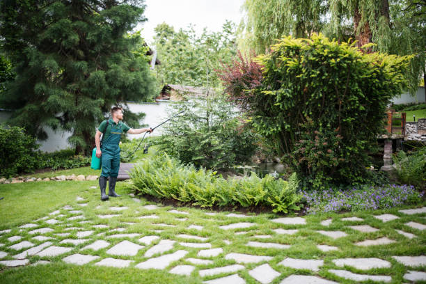Wasp Removal Services in Simonton Lake, IN