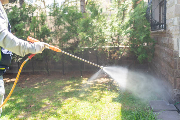 Best Bird Control  in Simonton Lake, IN