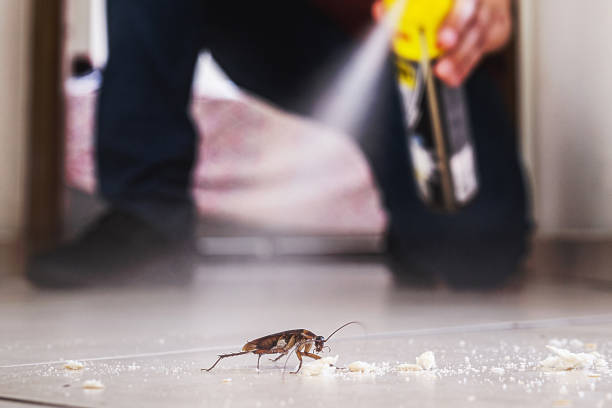 Best Termite Control Services  in Simonton Lake, IN